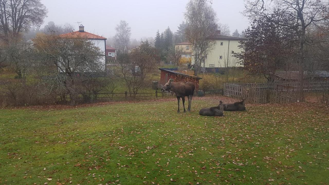 Trevligt Hus Med Egen Gard Och Fri Wifi, Emmaboda Kommun, Lindas Exterior foto