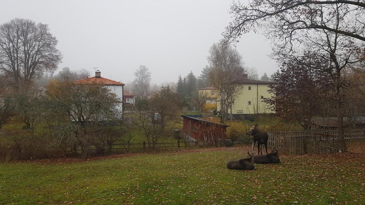 Trevligt Hus Med Egen Gard Och Fri Wifi, Emmaboda Kommun, Lindas Exterior foto